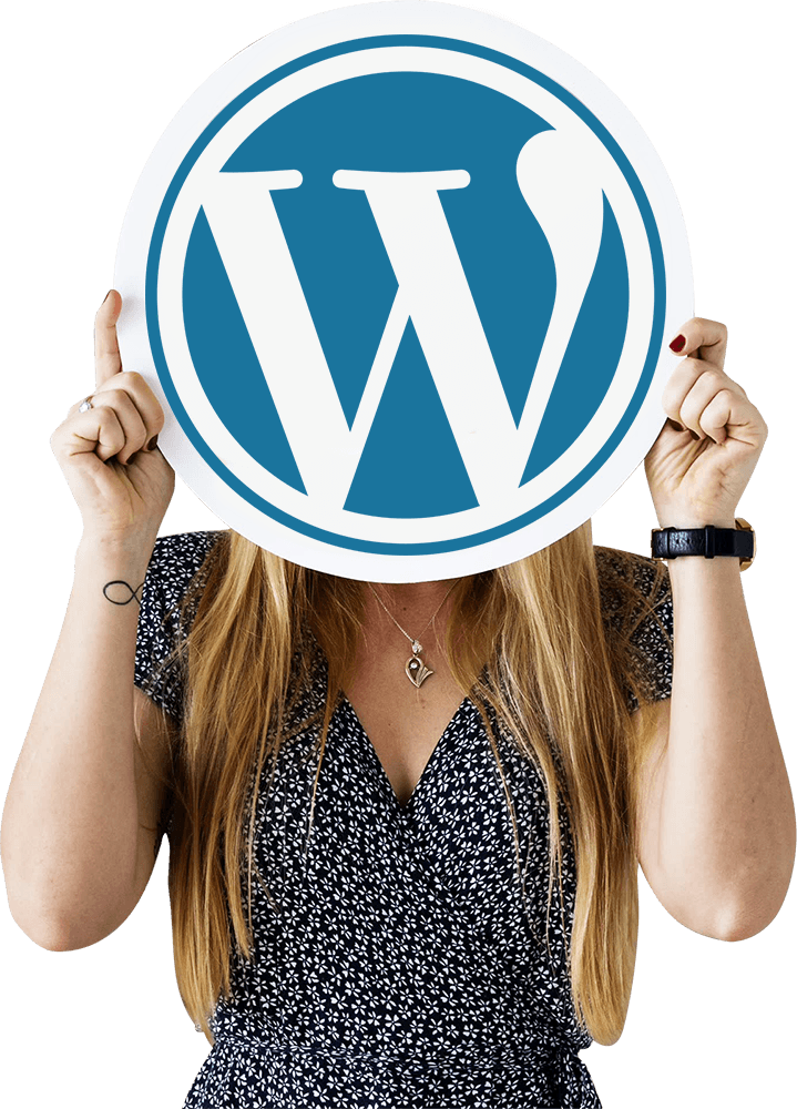 consulenza wordpress