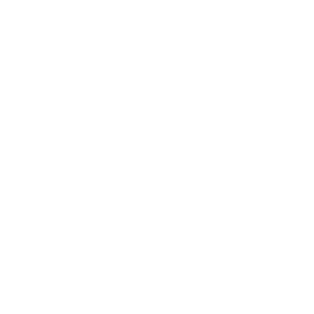 assistenza-icon